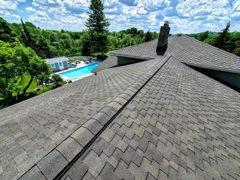 A shingled roof overlooks a backyard with a pool, surrounded by lush greenery and a clear, cloud-dotted sky.