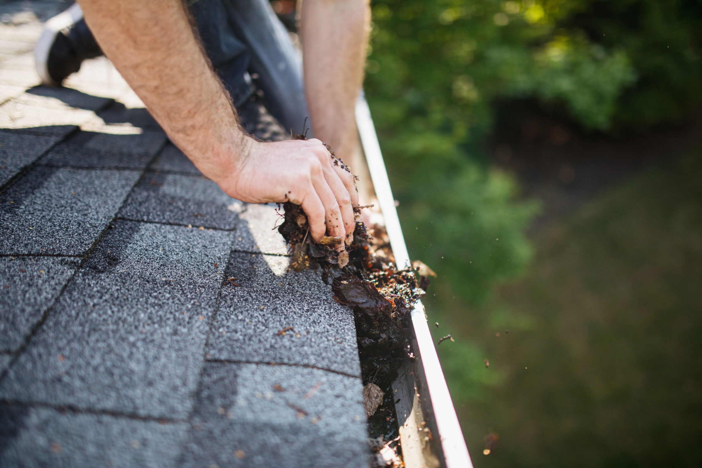 A person cleans debris from a roof gutter, removing leaves and dirt, with greenery visible in the background.
