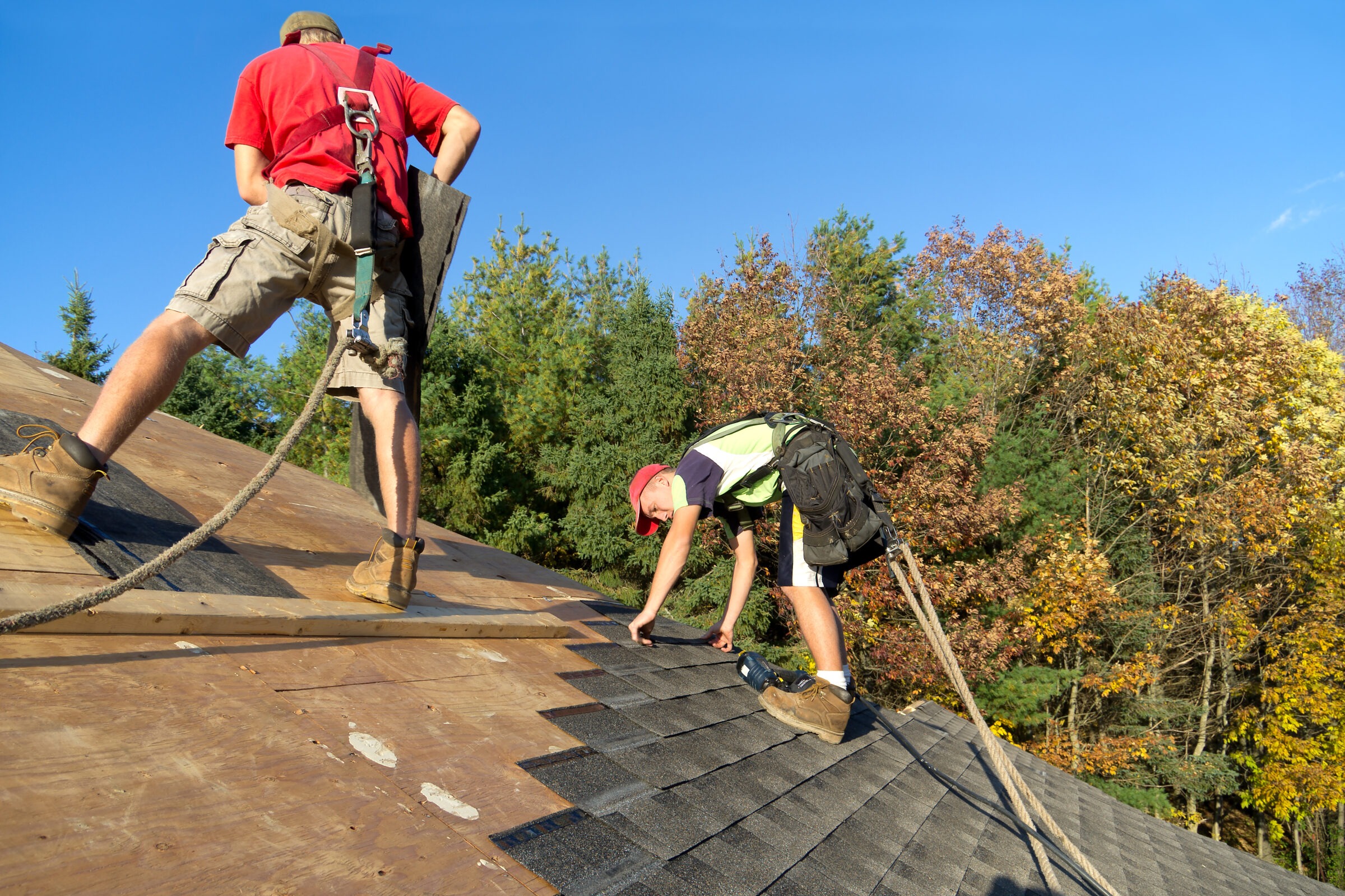 Two people in harnesses work on a roof, installing shingles amid autumn trees. Bright blue sky and safety gear visible.