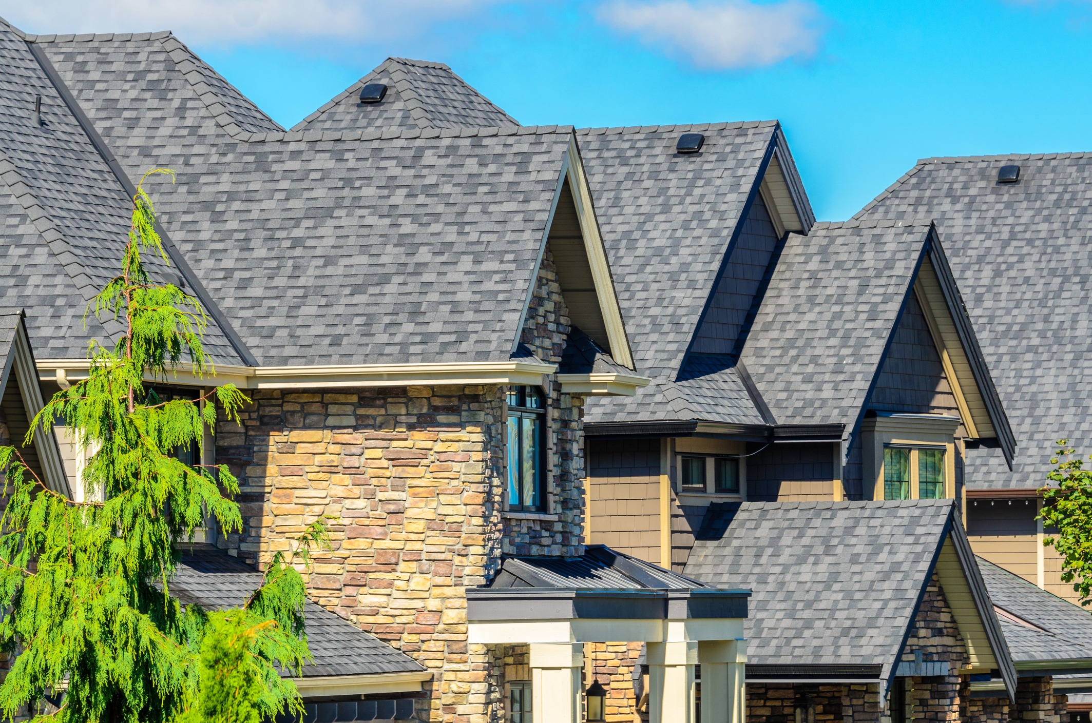 Stone-clad modern houses with steep, gray shingle roofs surround a bright green tree under a clear blue sky.