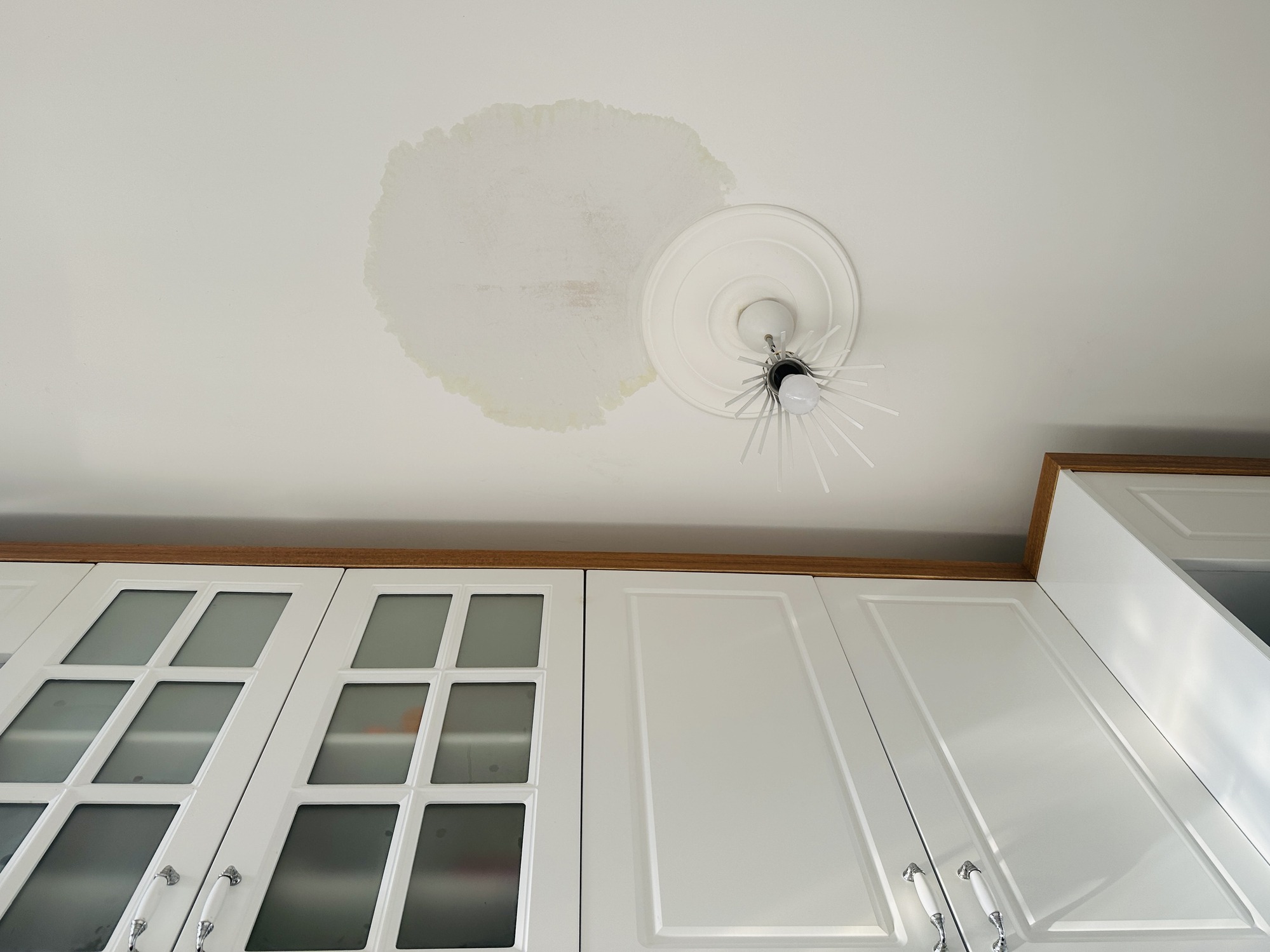 A close up of a stain on the ceiling next to a light fixture