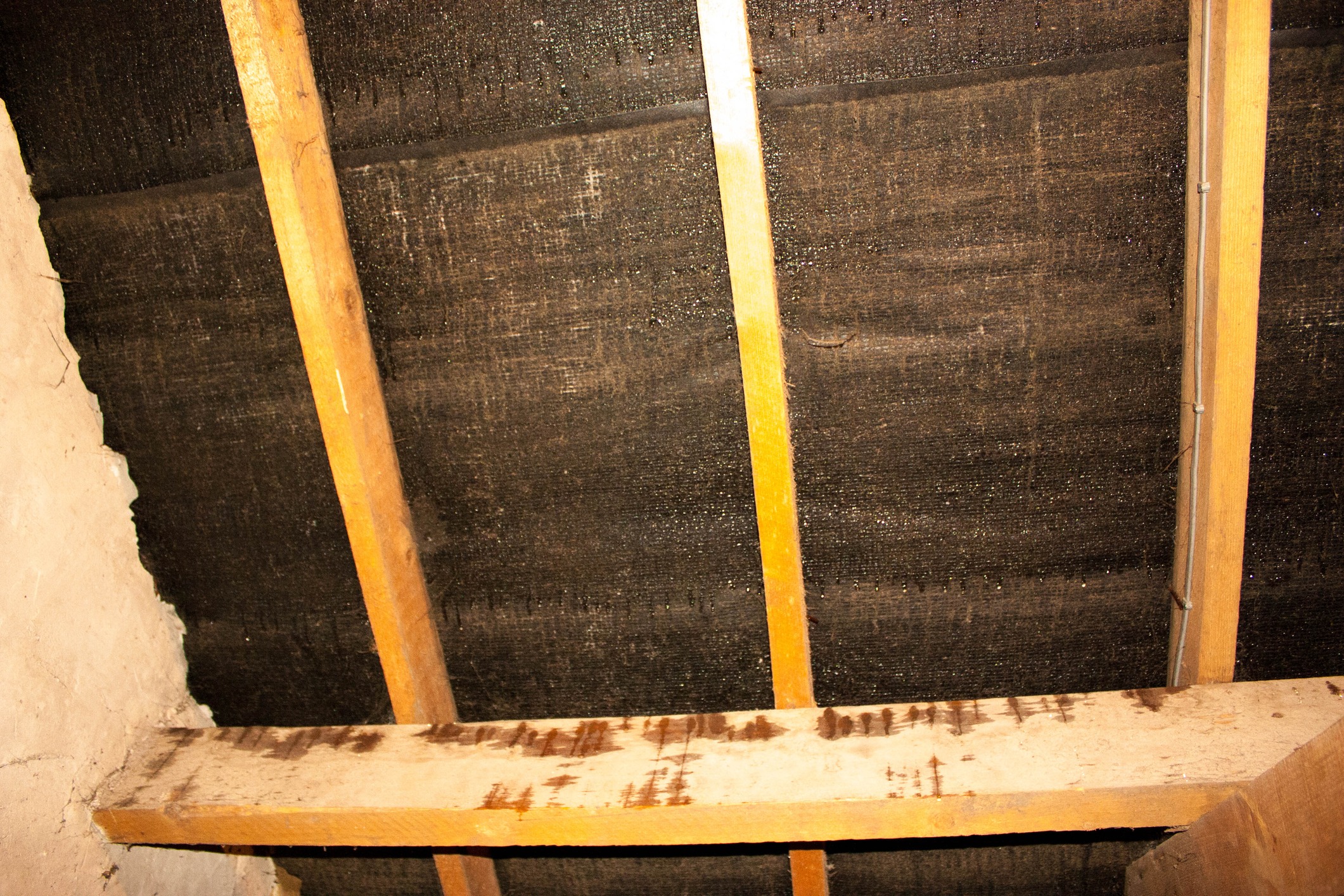 An attic showing signs of damp on the underdeck.